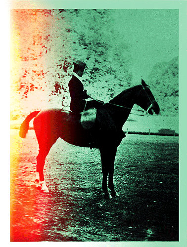 gif-fajardohorse