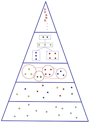 biogeometry3