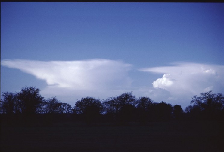 Cumulonimbus incus Cumulonimbus incus