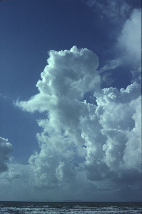 Cumulus congestus clouds Cumulus congestus clouds