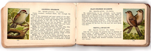 Chester A. Reed, Bird Guide