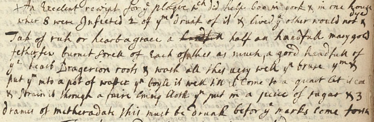 Anne Brumwich Plague recipe