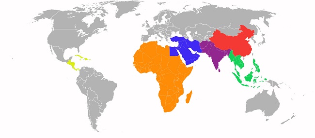 The global effects of the Cold War
