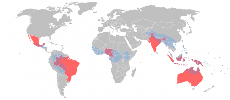 Together, the eight countries in red contain more than 50% of the world's languages. The areas in blue are the most linguistically diverse in the world, and the locations of most of the world's endangered languages.