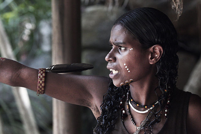 Australia: Aboriginal Culture 002. Photo by Steve Evans from Citizen of the World. Creative Commons via Wikimedia Commons.