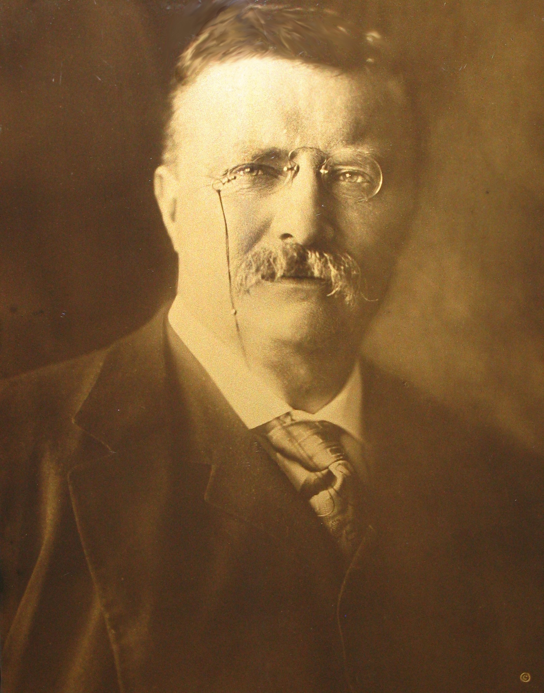 The times of theodore roosevelt in american history