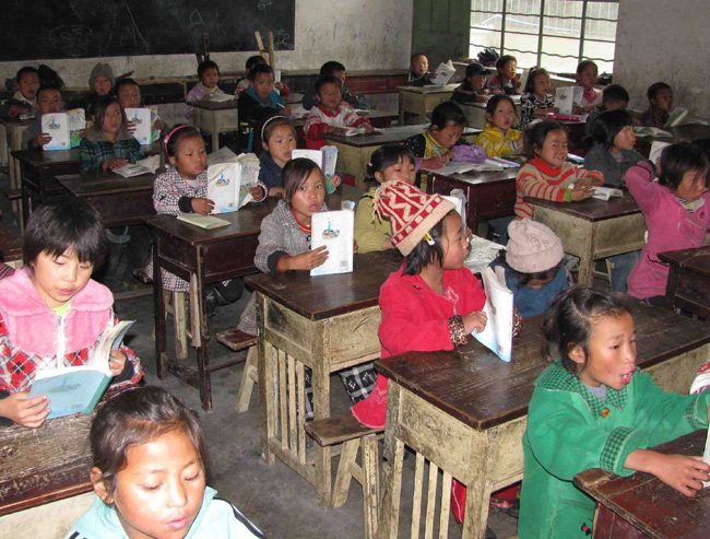 School children worldwide may be affected by chemical brain drain (China)