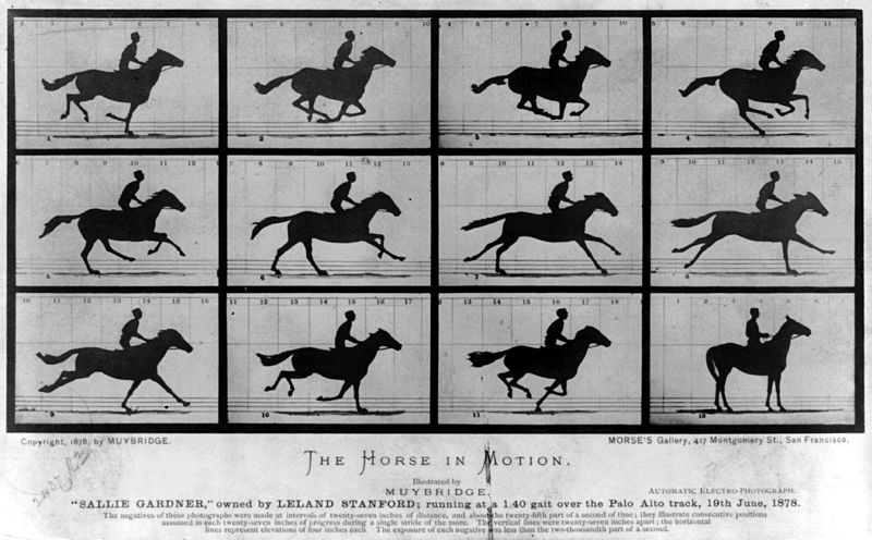 Eadweard Muybridge, The Horse in Motion. Automatic electro-photograph, 1878. Library of Congress Prints and Photographs Division via Wikimedia Commons.