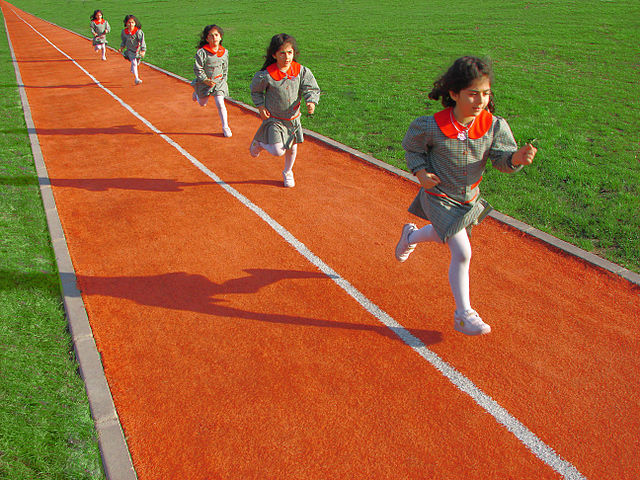 Running by Nevit Dilmen, 2006. Creative Commons License via Wikimedia Commons.