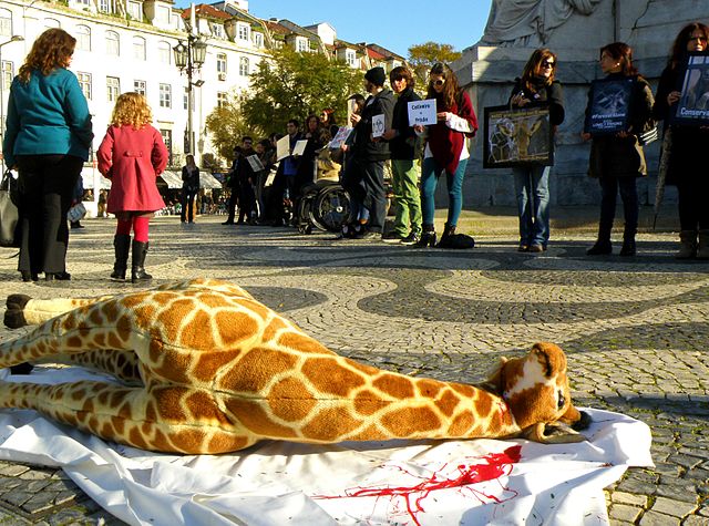 A stuffed giraffe, representing Marius, at a protest against zoos and the confinement of animals in Lisbon, 2014