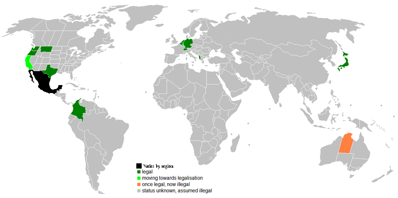 The Laws Regarding Euthanasia