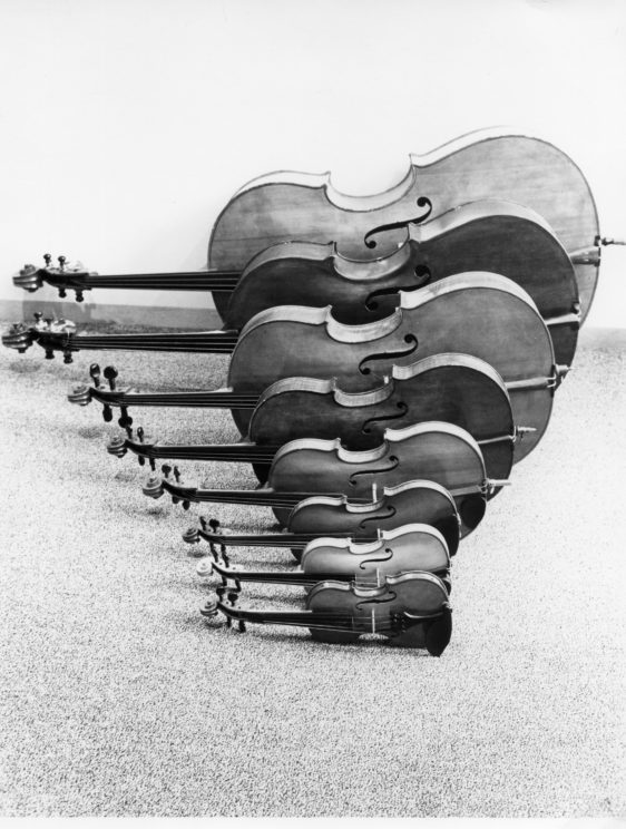 Image Credit: An example of Chladni patterns in violins, image supplied by author