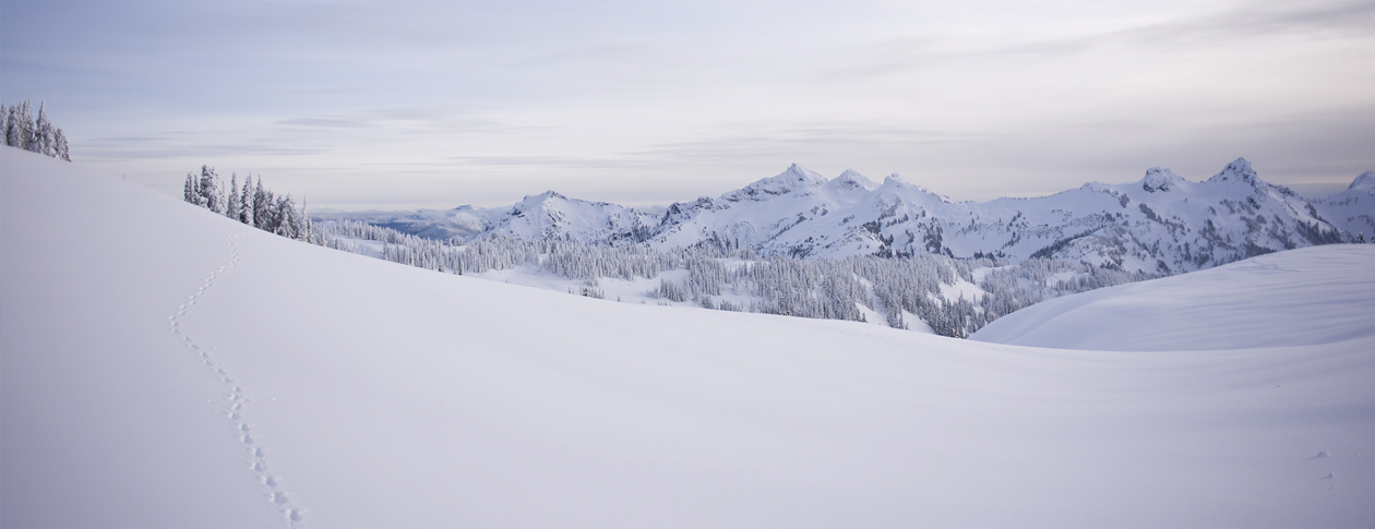 Hranice s Taniosem Snow-field-1260px