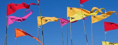 Red, yellow, pink, and orange pennant flags against a blue sky to illustrate the blog post "An etymological cul-de-sac: the verbs “flaunt” and “flout” by the Oxford Etymologist on the OUP blog