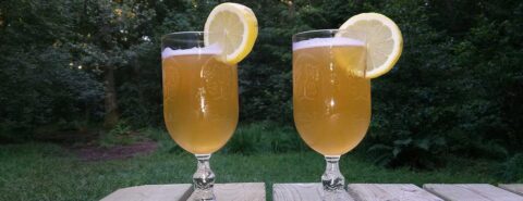 Two glasses of Kvass Russian beer