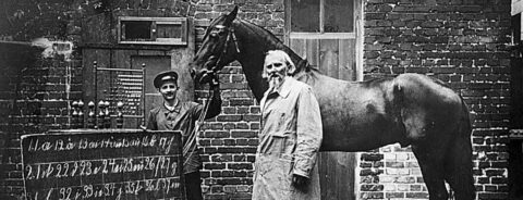 Black and white photo of Clever Hans the horse