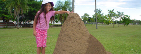 Little girl wearing a pink outfit and purple hat standing next to a giant clay hill with her hand reaching for the top