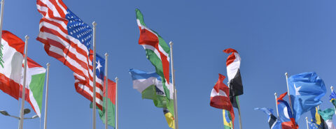 Multiple country flags waving on poles