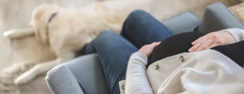 A pregnant woman sits on a grey chair, gently holding her belly, with a golden retriever lying at her feet.