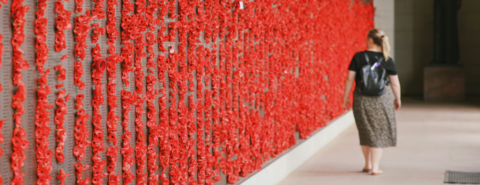 A woman walking past a wall of red commemoration poppies.