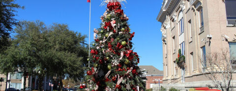 Lowndes County Courthouse Christmas Tree