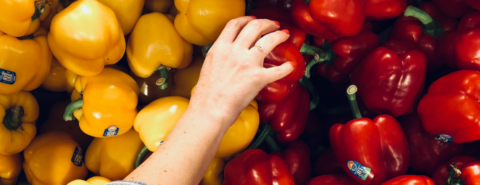 Close up of a hand reaching for a red bell pepper in a batch of red and yellow peppers